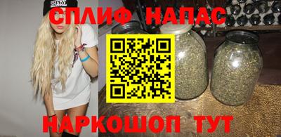 молекула духа Кингисепп