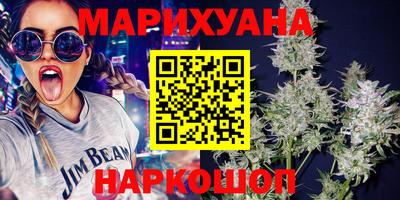 молекула духа Кингисепп