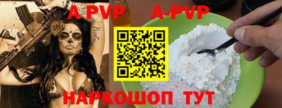 молекула духа Кингисепп