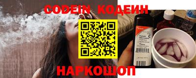 молекула духа Кингисепп