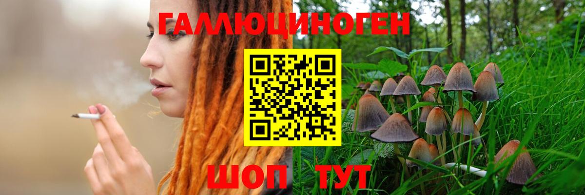Галлюциногенные грибы Psilocybe  купить  сайты  Псилоцибиновые грибы Psilocybe  Кохма  Вход с VPN 