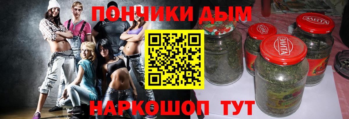 Бошки марихуана сатива Кохма